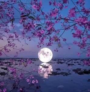 Meet your Posher, Yaneth